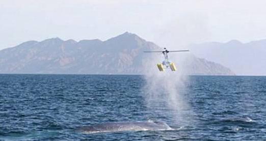 世界上各種罕見最奇葩的職業 工資收入不菲 聞屁師待遇年薪30萬