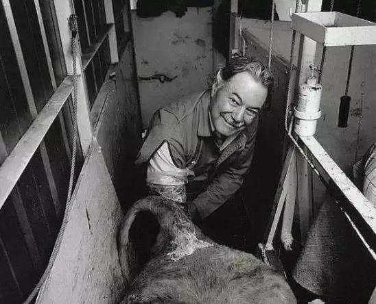 世界上各種罕見最奇葩的職業 工資收入不菲 聞屁師待遇年薪30萬