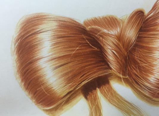 發(fā)際線變高能不能恢復(fù)?怎樣扎頭發(fā)不傷發(fā)際線?