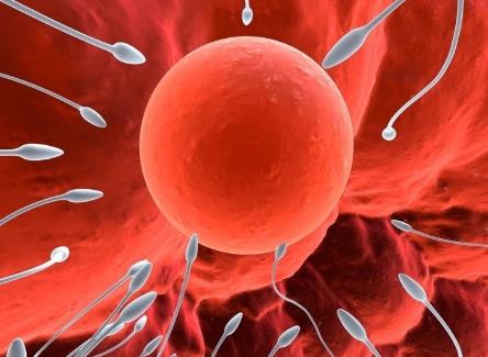 �����������к��᣿ʲô�ӵľ��������к�