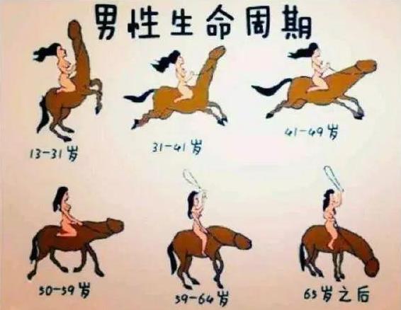 男性的丁丁是什么樣子的?男人命根子的勃起長度是多少厘米