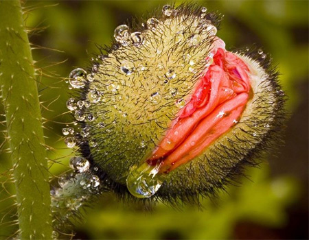 女性陰部真實照片:詳解健康女人真實完美陰道圖片【多圖】 女性陰部真實照片:詳解健康女人真實完美陰道圖片【多圖】