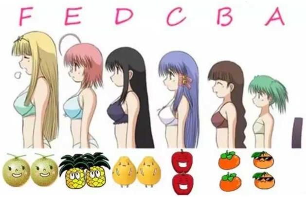 男生想象中女人胸部罩杯尺寸和女生實(shí)際的罩杯尺寸對(duì)照?qǐng)D片