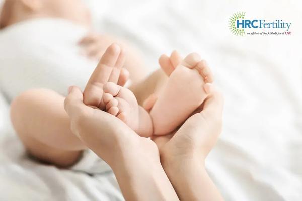 1685697839937017.png 手捧腳丫-600.png