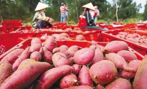 女性子宮到底殘留了多少垃圾 什么東西能給子宮排毒