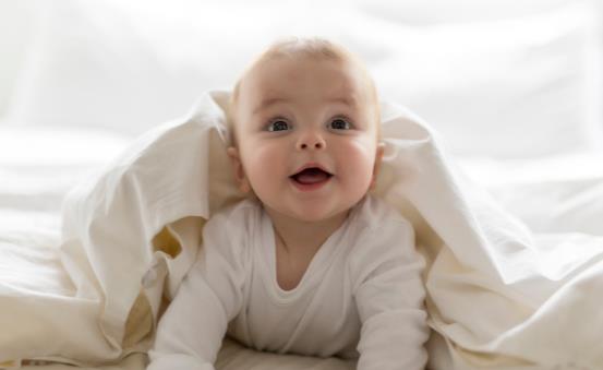 �����������Äe���@�׷Nʳ�� �ķN�����A��������������