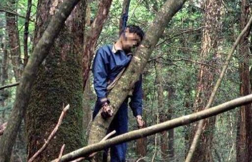 三、自殺森林.jpg