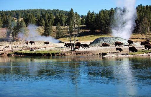 一、黃石國家公園.jpg