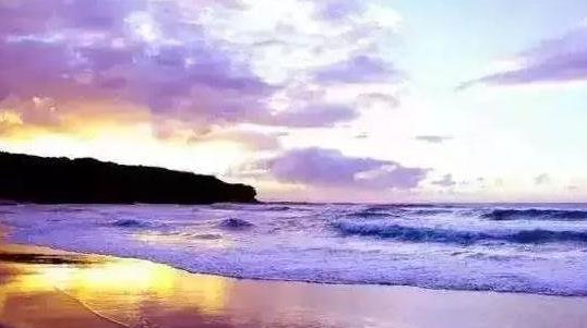 五、紫色海灘.jpg