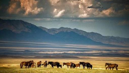 十大世界上國土面積最大的國家排行榜,中國第三,俄羅斯第一