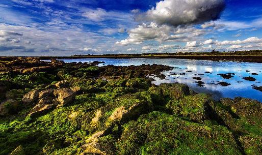 最適合移民的十大國家排行榜,瑞典第一,挪威第二