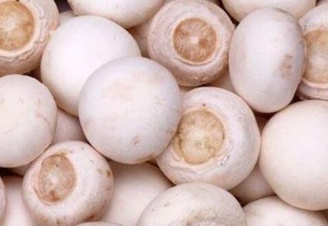 十大最值得帶回家的河北特產排行榜,藁城宮面第一,贊皇大棗最方便