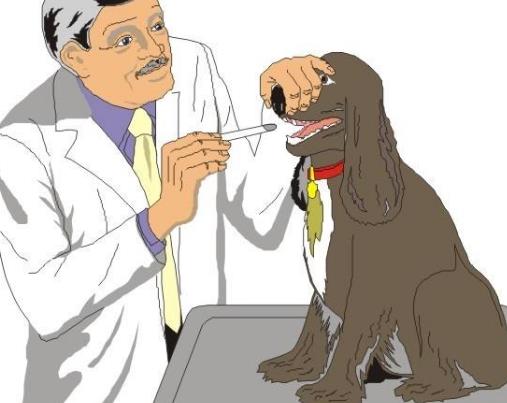 十大冷門專業(yè)排行榜,園林工程技術(shù)專業(yè)待遇好工資高