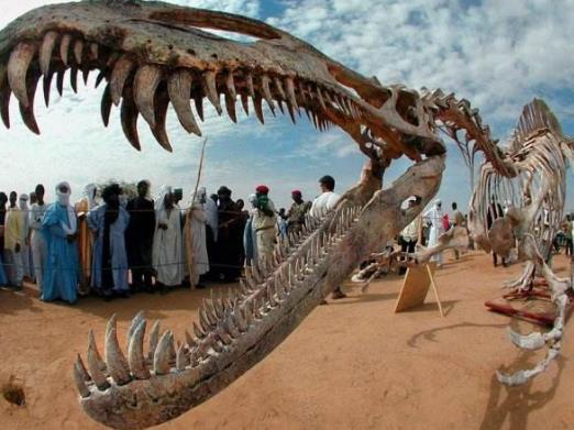 十大冷門專業(yè)排行榜,園林工程技術(shù)專業(yè)待遇好工資高