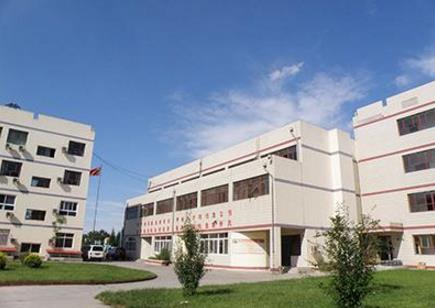 十大北京國際學校排行榜,北京力邁外國語學校學費15萬一年!