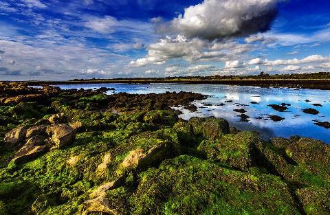 世界十大性開放國家排行榜,澳大利亞最自由,新西蘭第二