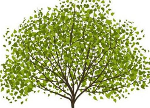 十大著名的心理學流派排行榜,內容心理學最出名