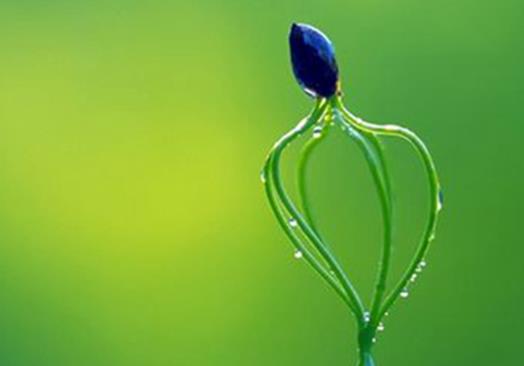 十大著名的心理學流派排行榜,內容心理學最出名