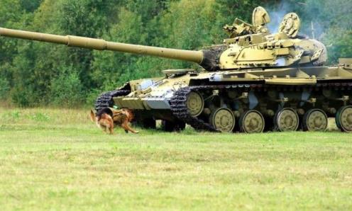 世界十大變態武器排行榜,反坦克狗第一,熱壓彈武器第二