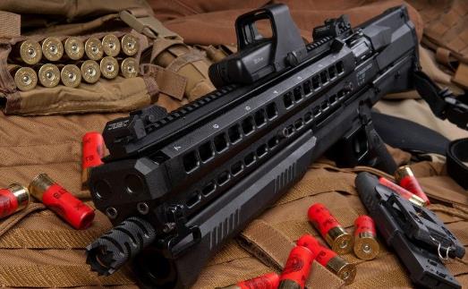 世界九大著名霰彈槍排行榜,MPSAA-12自動霰彈槍最牛