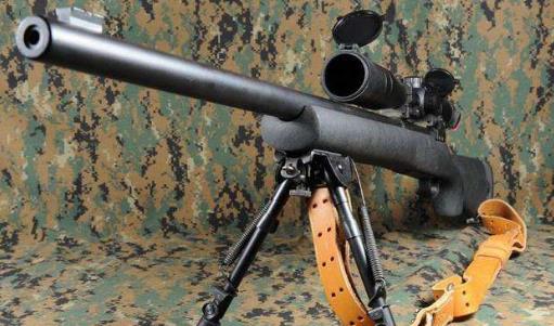 2018十大步槍生產商排行榜,雷明頓的槍最好,斯特姆·魯格第二