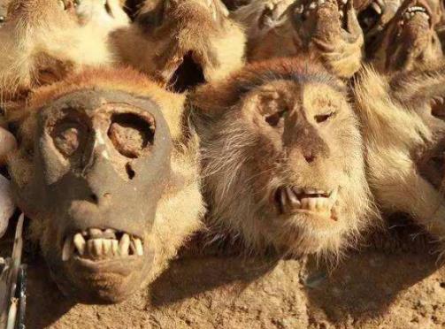 世界十大恐怖之地排行榜,墨西哥娃娃島讓人看了就想逃!