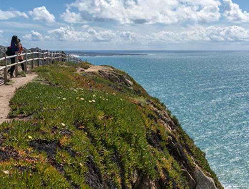 世界十大最大半島排行榜,阿拉伯半島第一,印度半島第二