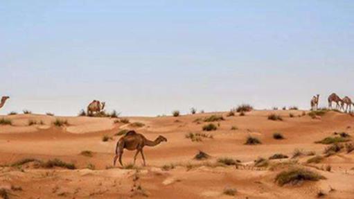 世界十大最大半島排行榜,阿拉伯半島第一,印度半島第二