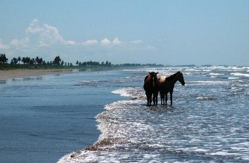 世界十大最長海灘排行榜,普臘亞卡西努長達158英里