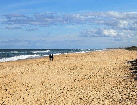 世界十大最長海灘排行榜,普臘亞卡西努長達158英里