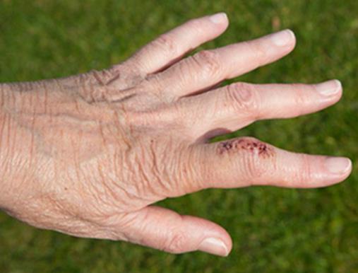 最難破的十項吉尼斯世界紀錄,最難殺死的人槍都打不死!