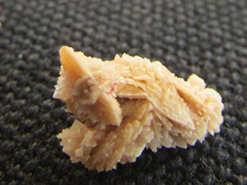 最難破的十項吉尼斯世界紀錄,最難殺死的人槍都打不死!