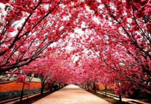 煙臺十大最好玩的地方排行榜,蓬萊閣第一,三仙山風景區第二