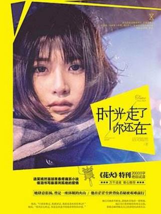 有關愛情的十本經典小說排行榜,《半暖時光》第一,《紙婚》,第二