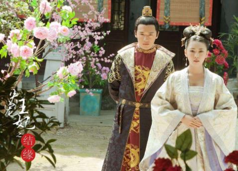 中國最新十大宮斗劇排名,《獨孤皇后》大火,你追了嗎?