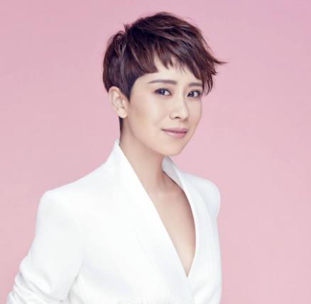 中國十大大器晚成的明星演員排名,甄子丹位列第二