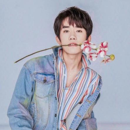 中國文體圈十大勞模排名,陳偉霆、鹿晗都很努力