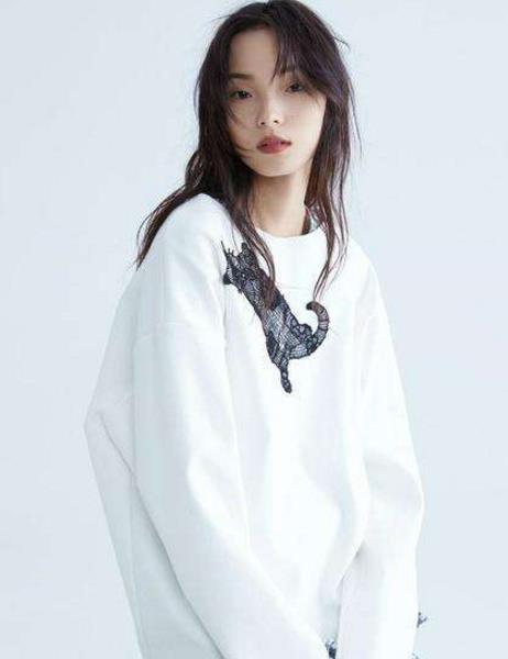 中國娛樂圈十大單眼皮美女排行榜,小眼睛也可以很美,劉雯第一