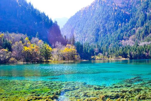 五一國內十大熱門旅游景點排行榜,上海迪士尼樂園最熱門