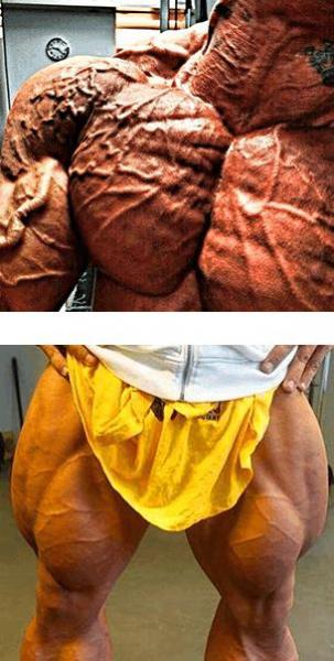 地球五大最強體脂率超低的人排名,李小龍、施瓦辛格都不能比