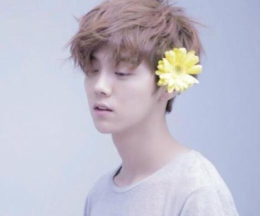 演技最差的十位男明星排行榜,小時代的陳學冬只負責帥