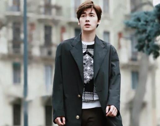 演技最差的十位男明星排行榜,小時代的陳學冬只負責帥