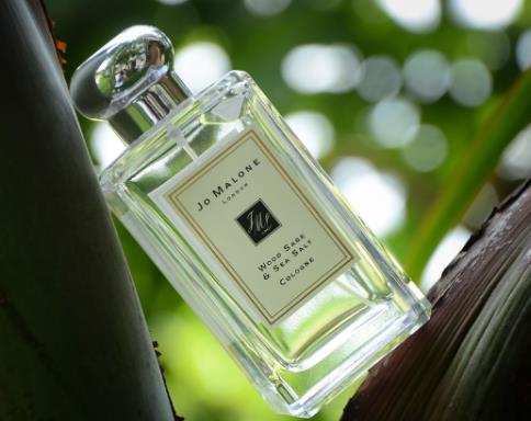 世界最好聞的女士香水排名,嬌蘭我的印記、三宅一生一生之水很香