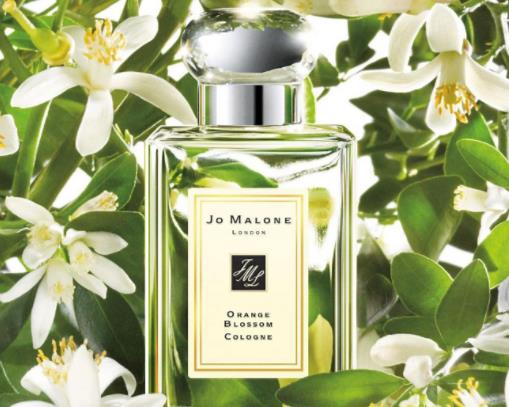 祖馬龍香水味道排名,祖馬龍藍(lán)風(fēng)鈴、祖馬龍紅玫瑰很暢銷