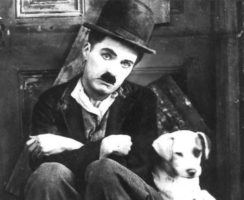 世界天王巨星排名,邁克爾杰克遜、貓王的作品很優(yōu)秀