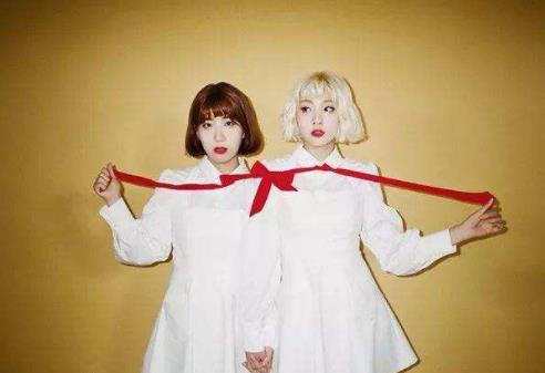 韓國十大優秀雙人組合排名,臉紅的思春期、樂童音樂家很火