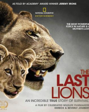 北美十大紀錄電影排名,可愛的動物、地球公民很貼合實際