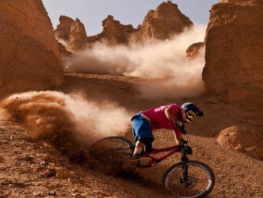 北美十大紀錄電影排名,可愛的動物、地球公民很貼合實際