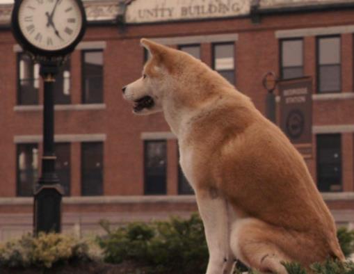 十大最經典劇情的電影排名,海上鋼琴師、霸王別姬經久不衰