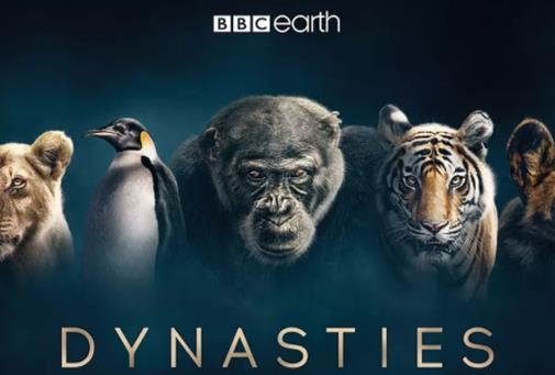 9.5分以上的紀(jì)錄片排名,生命、王朝優(yōu)秀又經(jīng)典